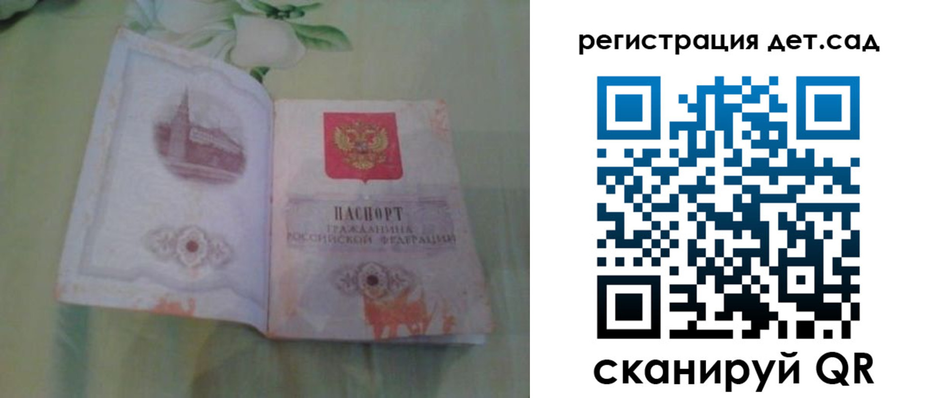 прописка гарантия в Апатитах